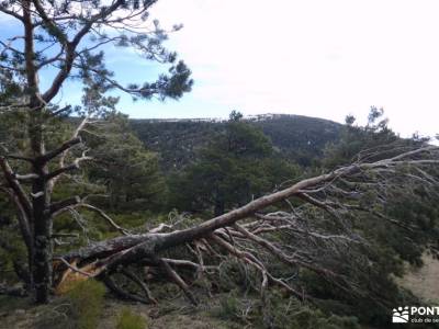 Reajos y Horizontal de Somosierra; viajes a madrid ruta cares montaña palentina senderismo valencia 